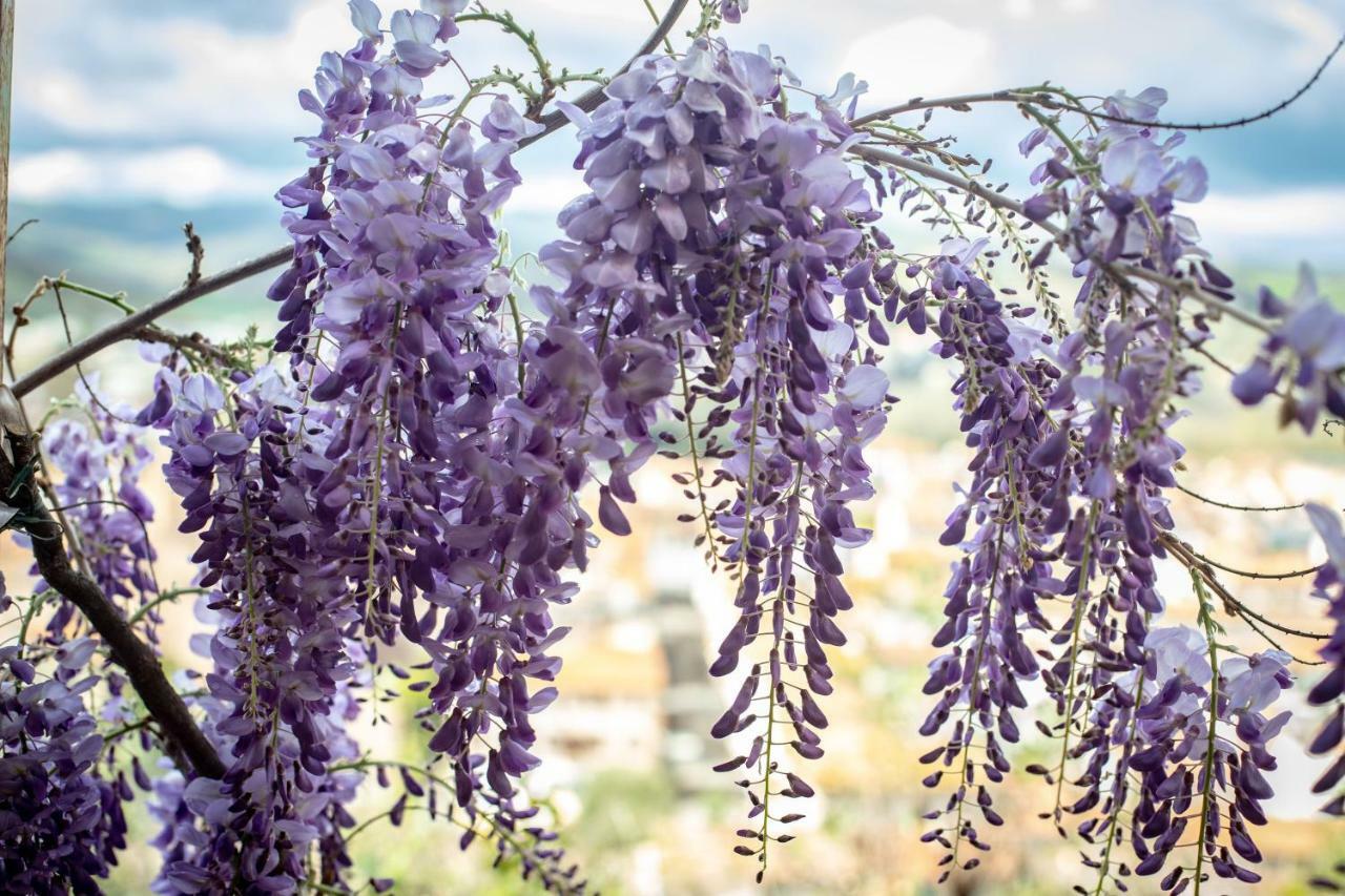 Hotel Il Castello チェルタルド エクステリア 写真