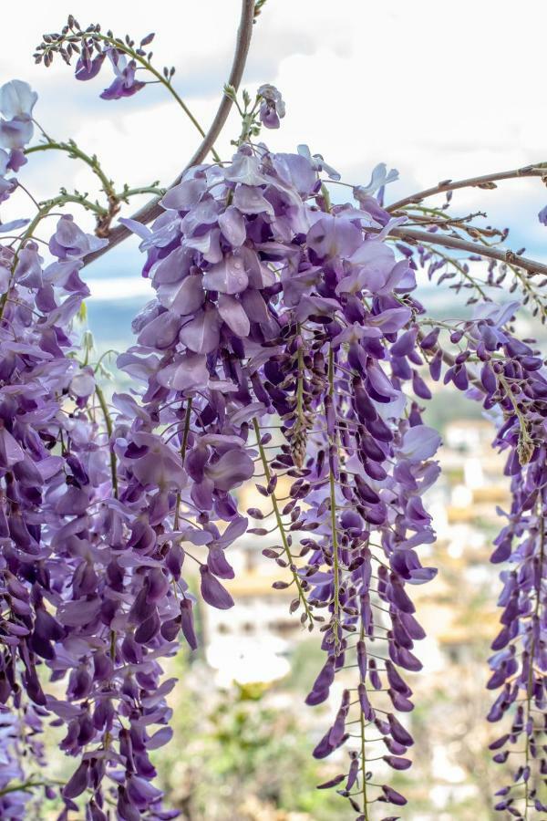 Hotel Il Castello チェルタルド エクステリア 写真